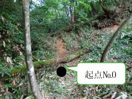 番外編現場セミナー：里山林整備事業の報告の活動写真