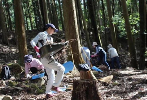 現場セミナー 郡山城跡の手入れ報告の活動写真