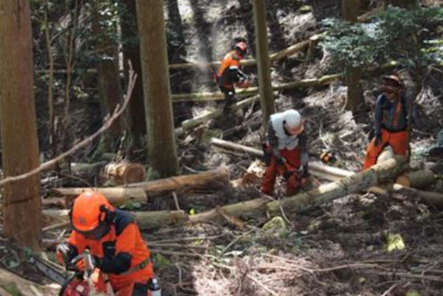 現場セミナー 郡山城跡の手入れ報告の活動写真