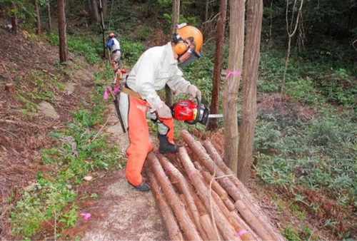第274回現場セミナー：ヒノキ間伐の活動写真