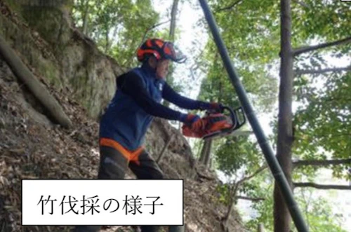 第 267 回現場セミナー　中小田古墳群の山林整備の活動写真