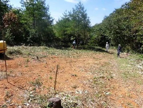 植樹祭の事前準備に参加しての活動写真
