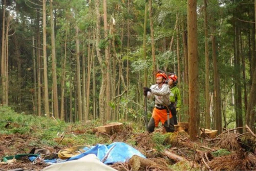 番外編現場セミナー第3回「安全に木を伐る技術研修会」の活動写真