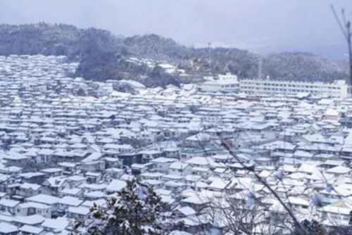 現場セミナー：鬼ケ城山 陽光桜植樹の活動写真