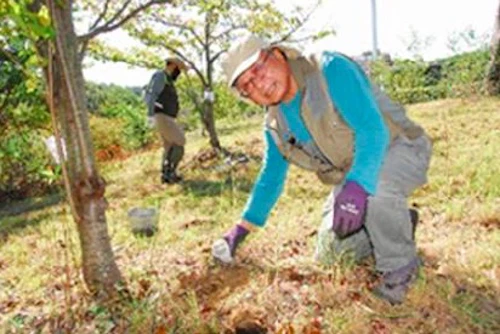第255回現場セミナー：緑の活力復元プロジェクト実証事業の活動写真