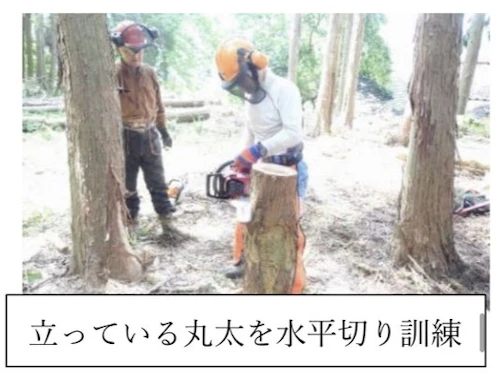 番外編現場セミナー：安全に木を伐る研修会（第2回）の活動写真