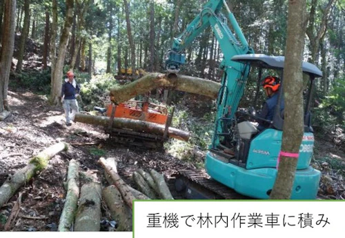 歴史をつなぐ「お玉ヶ池」再生プロジェクト完了報告書の活動写真