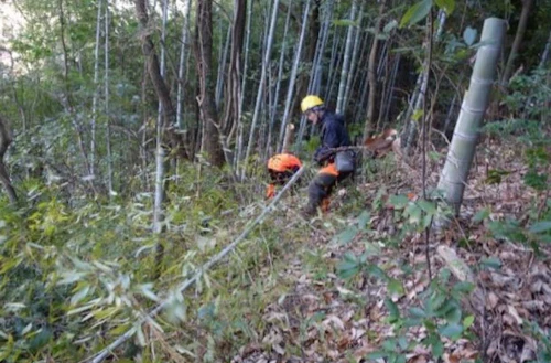 番外編現場セミナー：己斐西竹林伐採事業（PARTⅡ）の活動写真