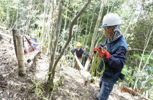 第271回現場セミナー：中小田古墳群の山林整備(竹林等伐採)第1回の活動写真