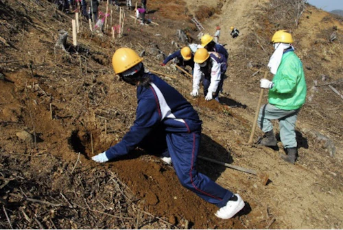 現場セミナー　ミツマタ植樹会の活動写真