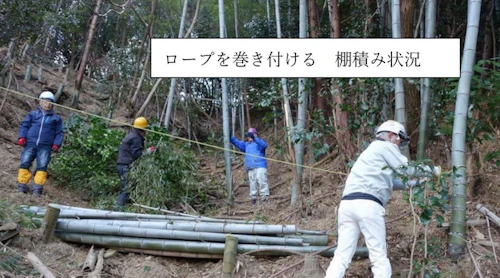 第 271 回現場セミナー： 史跡中小田古墳群の竹等伐採 第６回の活動写真