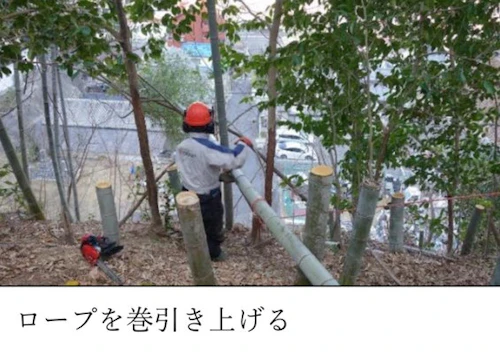 第 271 回現場セミナー： 史跡中小田古墳群の竹等伐採 第６回の活動写真