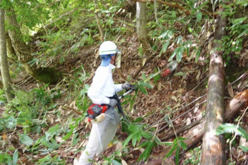 番外編現場セミナー：北広島町森づくり交付金事業（里山林整備事業）の活動写真