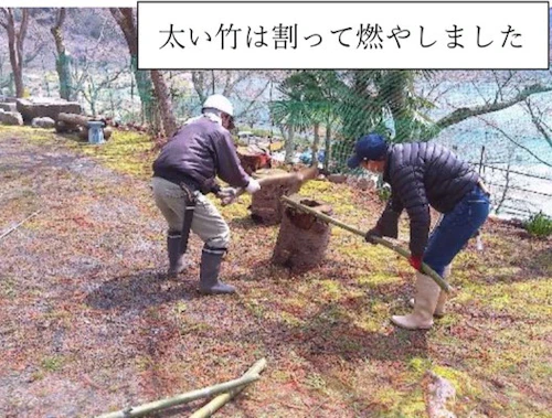 番外編現場セミナー：「3000 本の桜を望む森で竹林整備＆お花見イベントの活動写真
