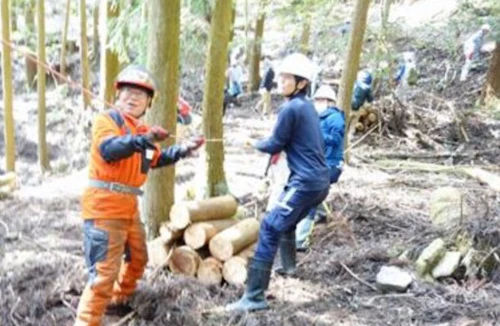 現場セミナー 郡山城跡の手入れ報告の活動写真