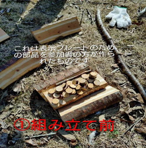 現場セミナー「げんき森もりゆめランド　復活と樹の循環」開催報告の活動写真