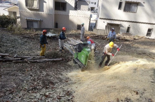 番外編現場セミナー　中小田古墳群の山林整備（竹林等伐採業務）の活動写真