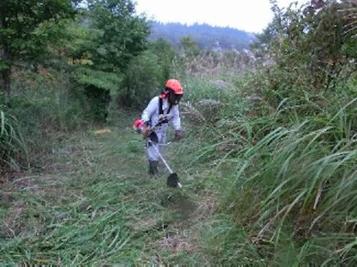 植樹祭の事前準備に参加しての活動写真