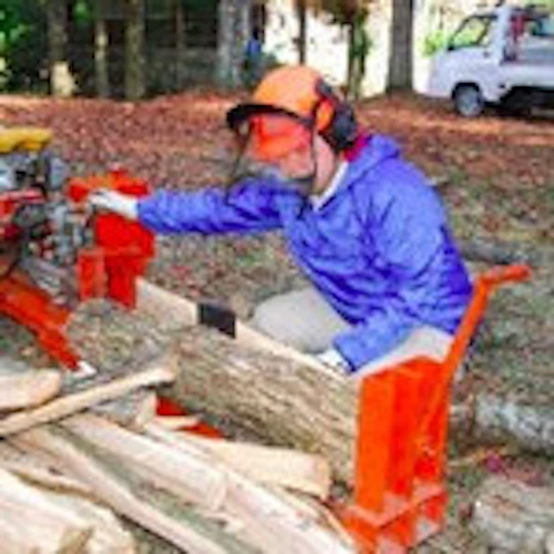 番外編現場セミナー　里山林整備の完了報告の活動写真