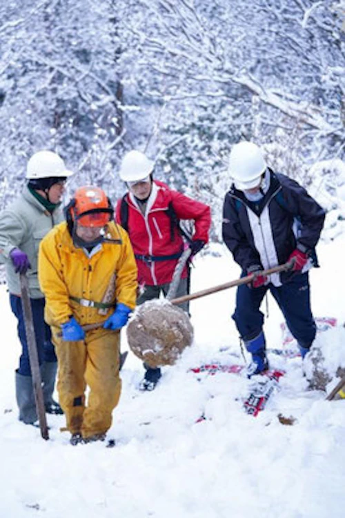 現場セミナー：鬼ケ城山 陽光桜植樹の活動写真