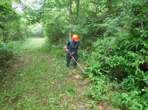 植樹祭の事前準備に参加しての活動写真
