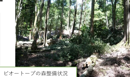 歴史をつなぐ「お玉ヶ池」再生プロジェクト完了報告書の活動写真