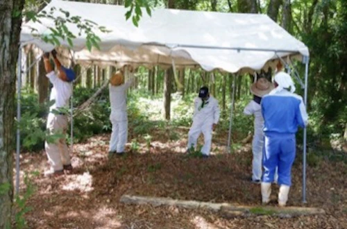 「山の日」祝日５周年記念植樹祭報告の活動写真