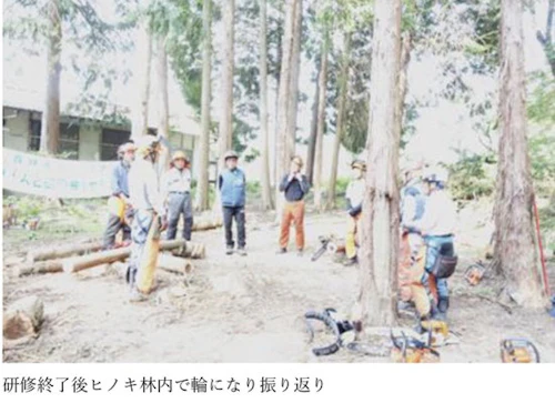 番外編現場セミナー：安全に木を伐る研修会（第2回）の活動写真
