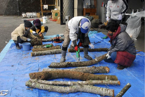 番外編現場セミナー　桜守プロジェクト　土師ダム湖畔のさくら並木の手入れの活動写真
