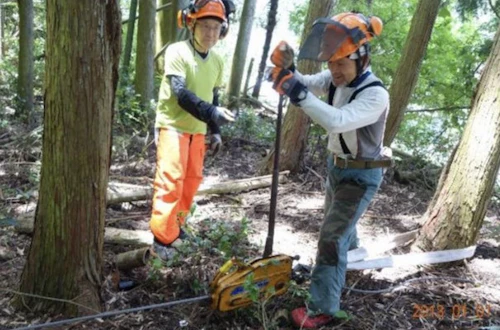 番外編現場セミナー：安全に木を伐る研修会（第1回）の活動写真
