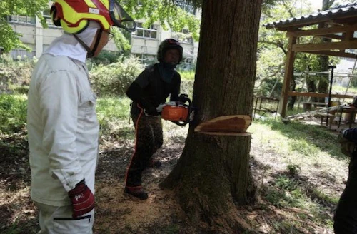 番外編現場セミナー ：森づくり安全研修会（1回）の報告の活動写真
