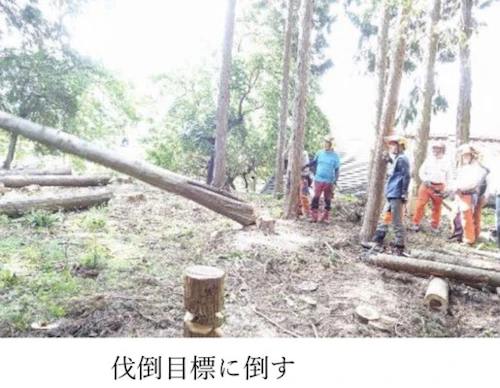 番外編現場セミナー：安全に木を伐る研修会（第2回）の活動写真