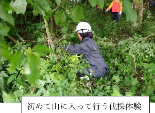 オイスカ広島の森づくり 第 26 回山・林・SUN 活動に参加しての活動写真