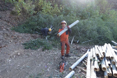 番外編現場セミナー　中小田古墳群の山林整備（竹林等伐採業務）の活動写真