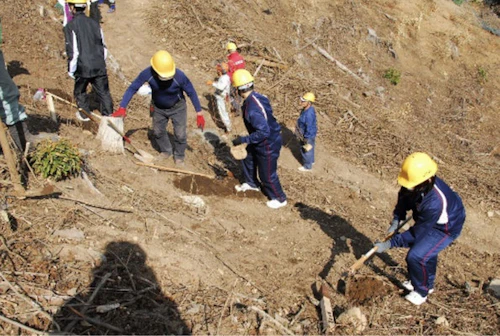 現場セミナー　ミツマタ植樹会の活動写真