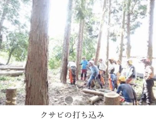 番外編現場セミナー：安全に木を伐る研修会（第2回）の活動写真
