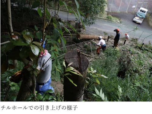 現場セミナー：市史跡田屋城跡の森林整備の活動写真