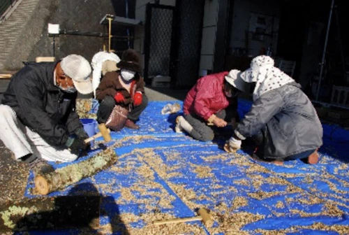番外編　現場セミナー第31回桜守プロジェクトの活動写真