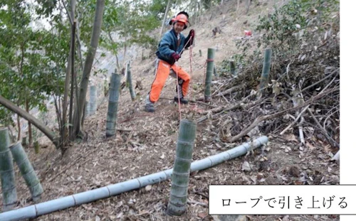 第 271 回現場セミナー： 史跡中小田古墳群の竹等伐採 第６回の活動写真