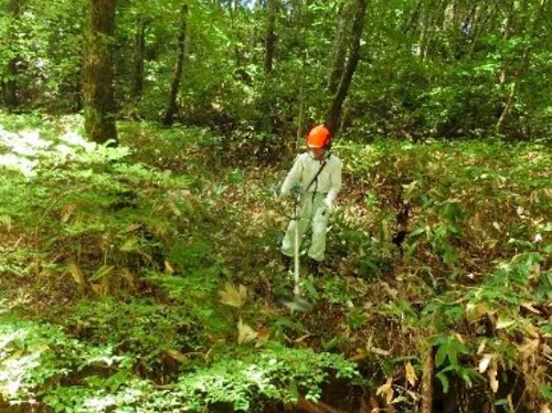 番外編現場セミナー：里山林整備事業の報告の活動写真