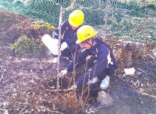現場セミナー：ミツマタ植樹会の活動写真