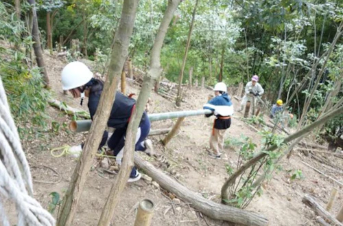 第271回現場セミナー：中小田古墳群の山林整備（竹林等伐採）第４回の活動写真