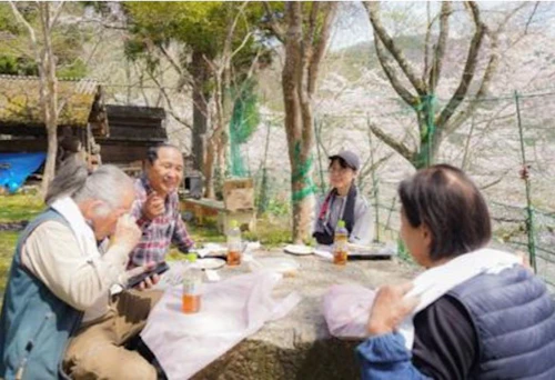 番外編現場セミナー：炭焼体験講座（炭出し）と花見会の活動写真