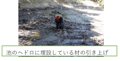歴史をつなぐ「お玉ヶ池」再生プロジェクト完了報告書の活動写真