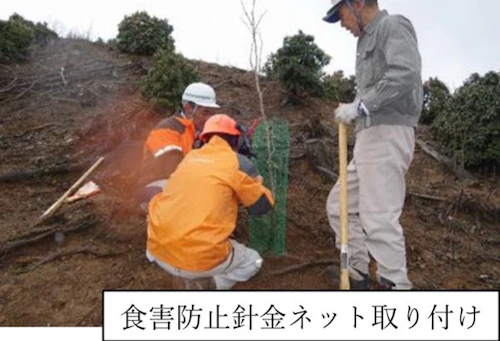 現場セミナー：ミツマタ植樹と座学（森林教育）の活動写真