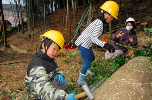 第259回現場セミナー　裏山林整備報告の活動写真