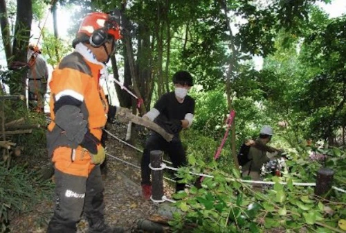 現場セミナー　市史跡田屋城跡の森林整備の活動写真