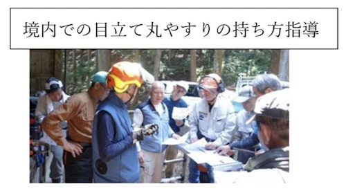 番外編現場セミナー：安全に木を伐る研修会（第2回）の活動写真