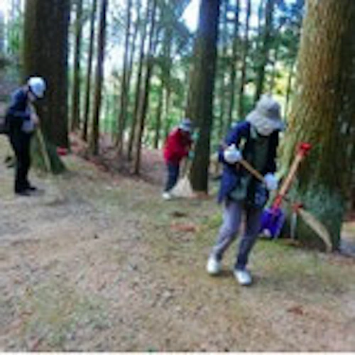 現場セミナー　郡山城址の手入れの活動写真