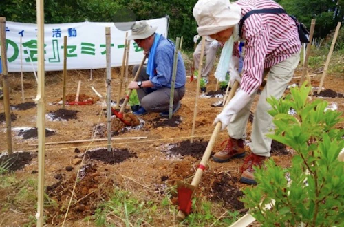 「山の日」祝日５周年記念植樹祭報告の活動写真